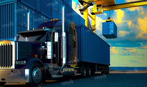 Marmara Bölgesi<br> Gsm : +90 533 678 13 88